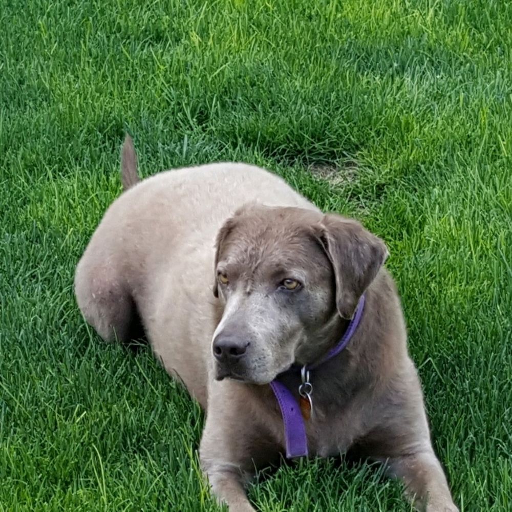 I am selling you on my Mom and her stuff!